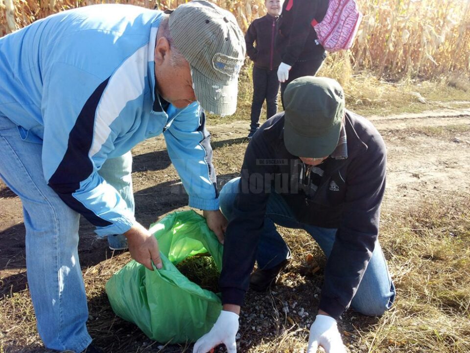 Mobilizare pentru curățarea gunoaielor aruncate în rezervația naturală Frumoasa