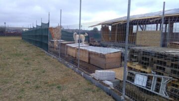 Adăpostul construit fără nici o autorizație de Asociația Bruno Pet