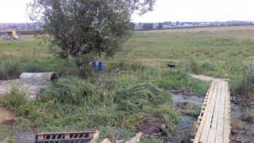 Câinii pleacă unde și când vor din adăpost