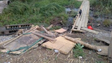 Câinii pleacă unde și când vor din adăpost