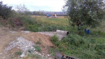 Cel puțin 54 dintre maidanezii nou-veniți în Suceava sunt înregistrați pe numele unei singure persoane