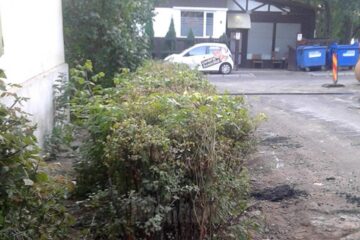 Strada Sbl. Alexandru Ienceanu înainte de scoaterea gardului viu