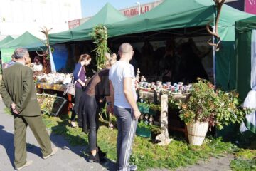 Comorile gastronomiei din Bucovina pot fi descoperite la Târgul de Toamnă de la Iulius Mall Suceava