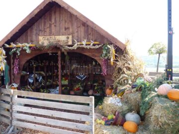 Comorile gastronomiei din Bucovina pot fi descoperite la Târgul de Toamnă de la Iulius Mall Suceava