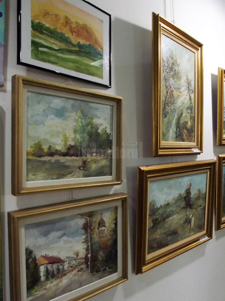 Vernisajul Salonului de vară la Rădăuți