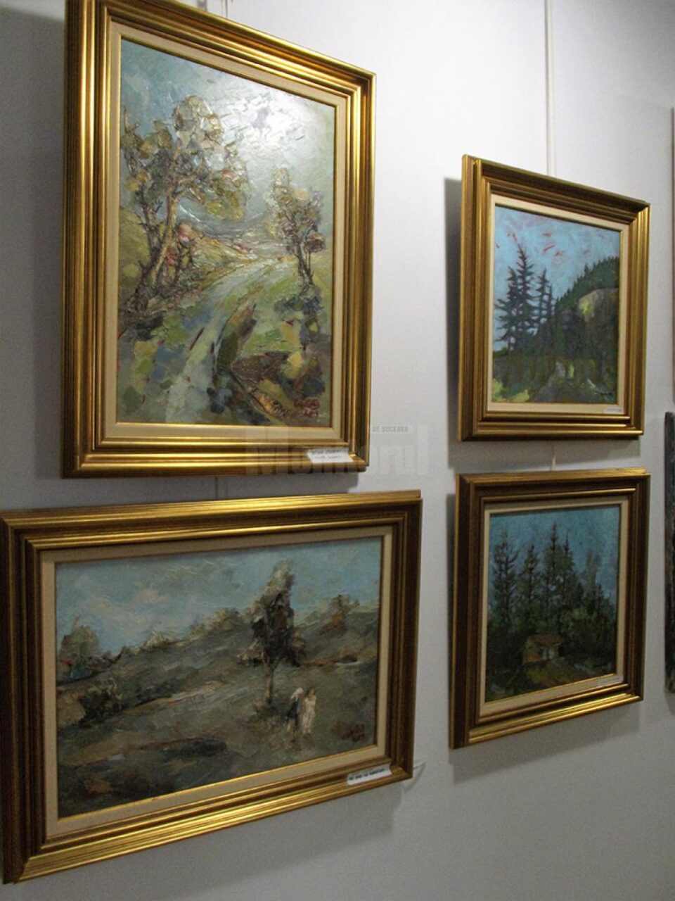 Salonul de vară al artiștilor plastici amatori din județul Suceava, pe simeze rădăuțene