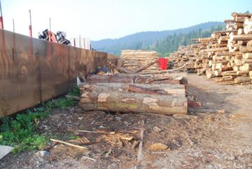Depozitarea lemnului și a altor materiale pe vechea linie face imposibilă prelungirea căii ferate înguste spre Gara Moldovița