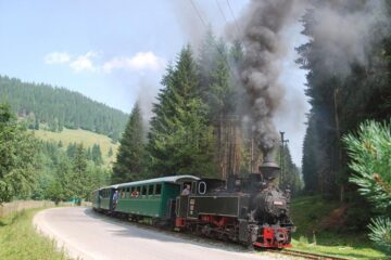 Cu Mocănița "Huțulca" pe Valea Moldoviței