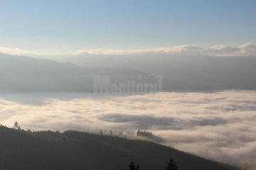 Nunta cerbilor, în Țara Dornelor