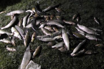 Cei doi bărbați au pescuit, cu instrumente interzise de lege, aproximativ 50 de kilograme de pește