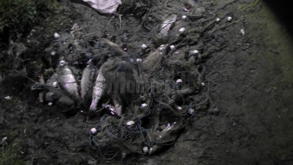 Imagini de la acțiunea de ieri dimineață de la Rogojești
