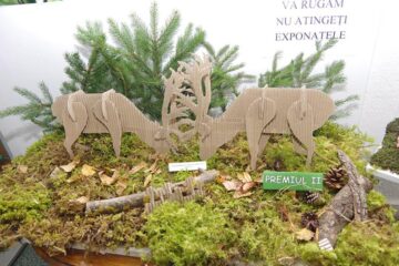 Machete realizate în cadrul proiectului educațional „Muzeul de Științele Naturii în imaginația copiilor”