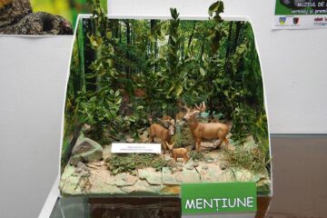 Preșcolari și elevi suceveni, premiați la Muzeul de Științele Naturii