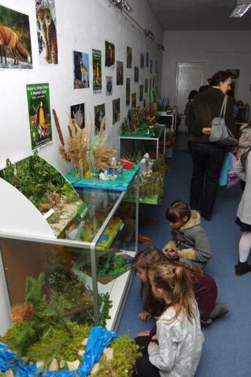 Preșcolari și elevi suceveni, premiați la Muzeul de Științele Naturii