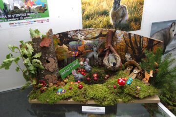 Machetă realizată de Școala Gimnazială Nr. 1 Suceava