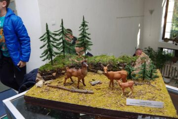 Preșcolari și elevi suceveni, premiați la Muzeul de Științele Naturii