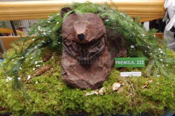 Machete realizate în cadrul proiectului educațional „Muzeul de Științele Naturii în imaginația copiilor”