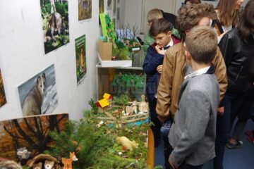 Preșcolari și elevi suceveni, premiați la Muzeul de Științele Naturii