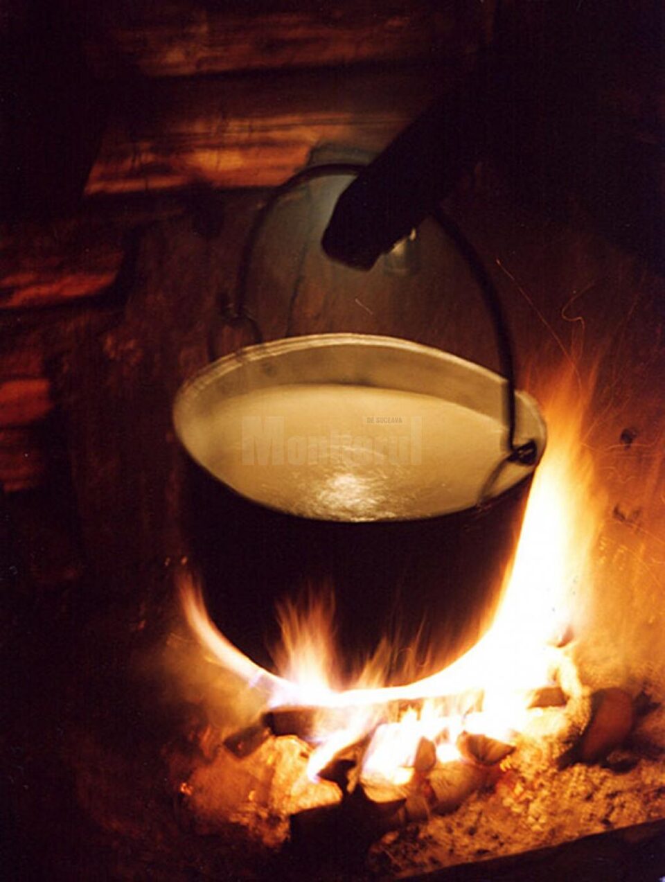 „Românii din munții Dornei”