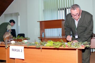 Suceava a câștigat concursul național „Cel mai bun pădurar”