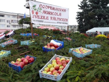 La Fălticeni a avut loc cea de-a XIII-a ediție a Târgului Mărului
