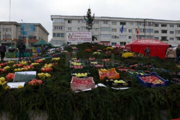 La Fălticeni a avut loc cea de-a XIII-a ediție a Târgului Mărului