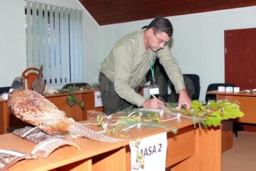 Suceava a câștigat concursul național „Cel mai bun pădurar”
