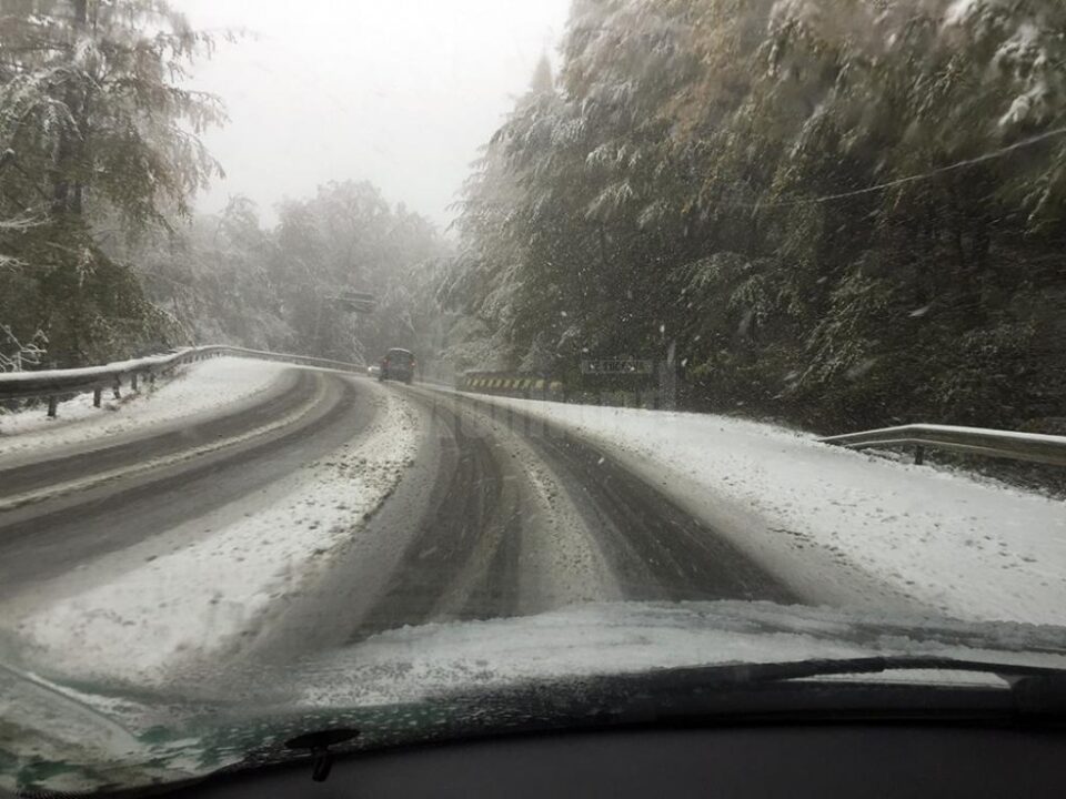 Traficul s-a desfășurat cu dificultate mai ales prin zona pădurii de la Ilișești