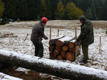 Suceava a câștigat concursul național „Cel mai bun pădurar”