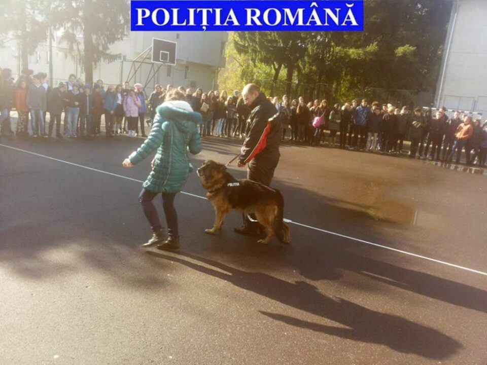 Câinele polițist i-a impresionat pe elevi prin demonstrațiile făcute