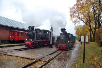 Cele două locomotive cu abur au fost principala atracție a târgului din Lituania