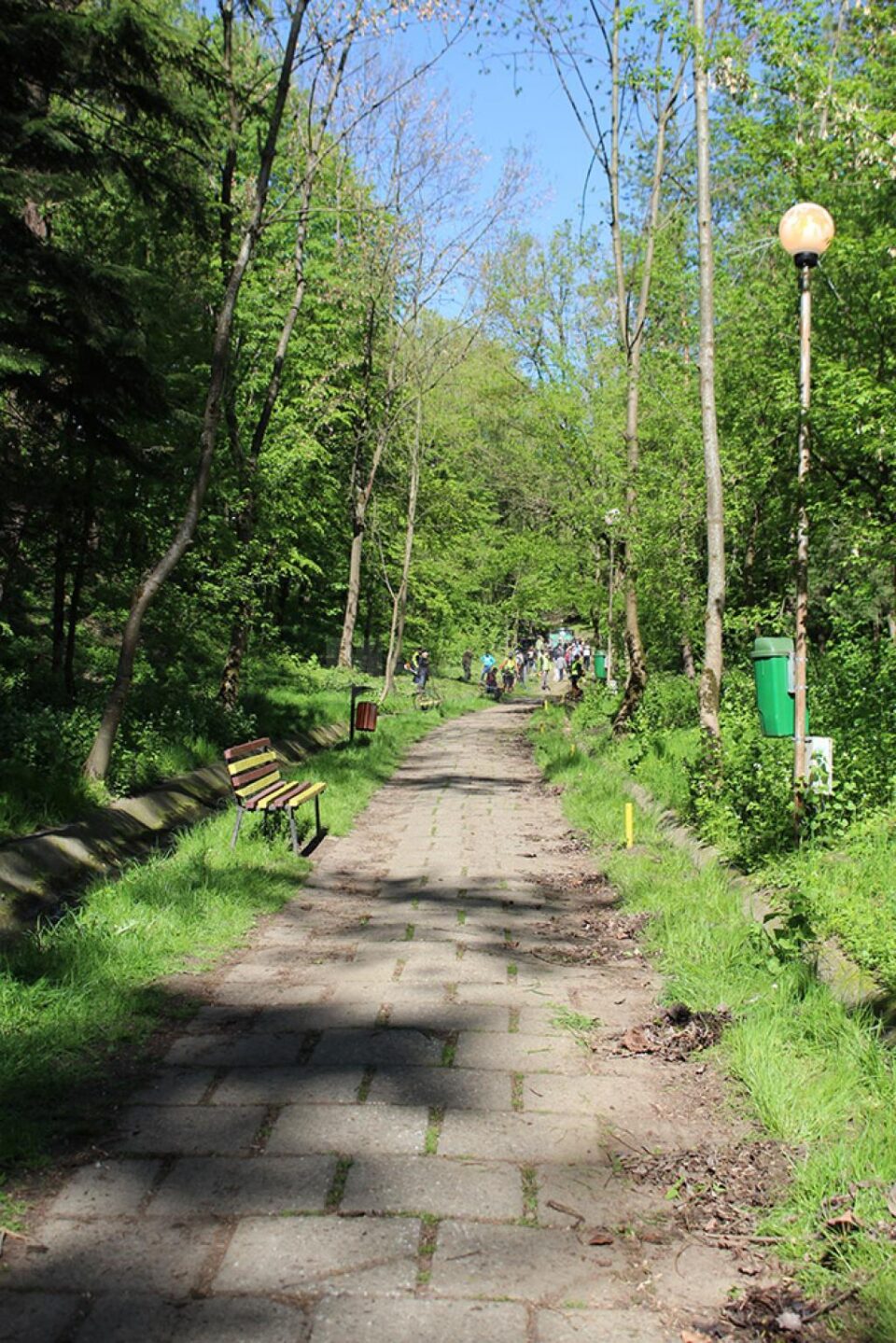 Parcul Șipote