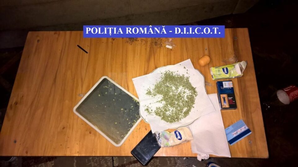 Rețea de traficanți de droguri, vizată de 14 percheziții în județele Suceava și Mureș