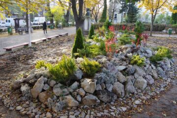Amenajare ornamentală în Parcul Trei Bărboși