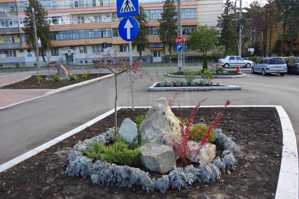 Amenajare peisagistică în zona magazinului Bucovina