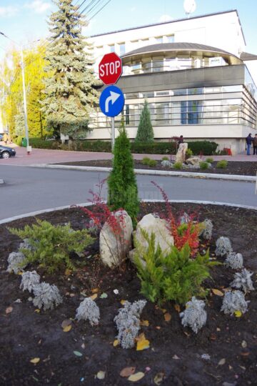 Aranjamente stradale ornamentale, realizate cu costuri minime, de Primăria Suceava