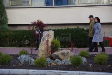 Aranjamente stradale ornamentale, realizate cu costuri minime, de Primăria Suceava