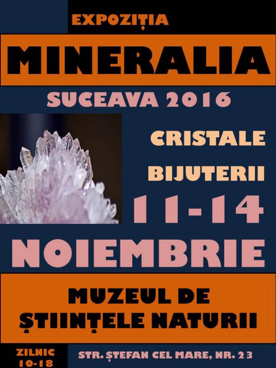 Cristale, pietre prețioase și bijuterii, la Muzeul de Științele Naturii Suceava