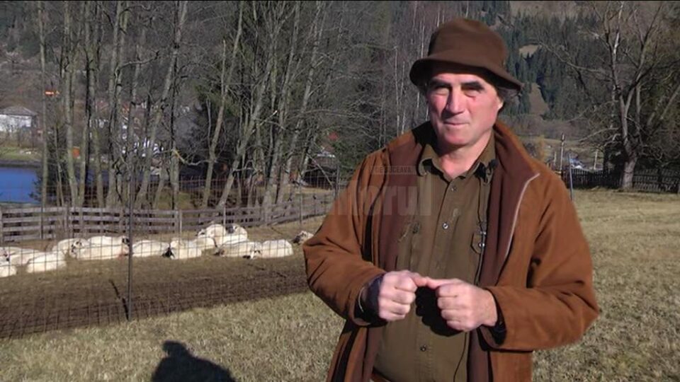 Medicul veterinar Petrea Dulgheru spune că aceste carnivore care produc pagube mari ar trebui eliminate