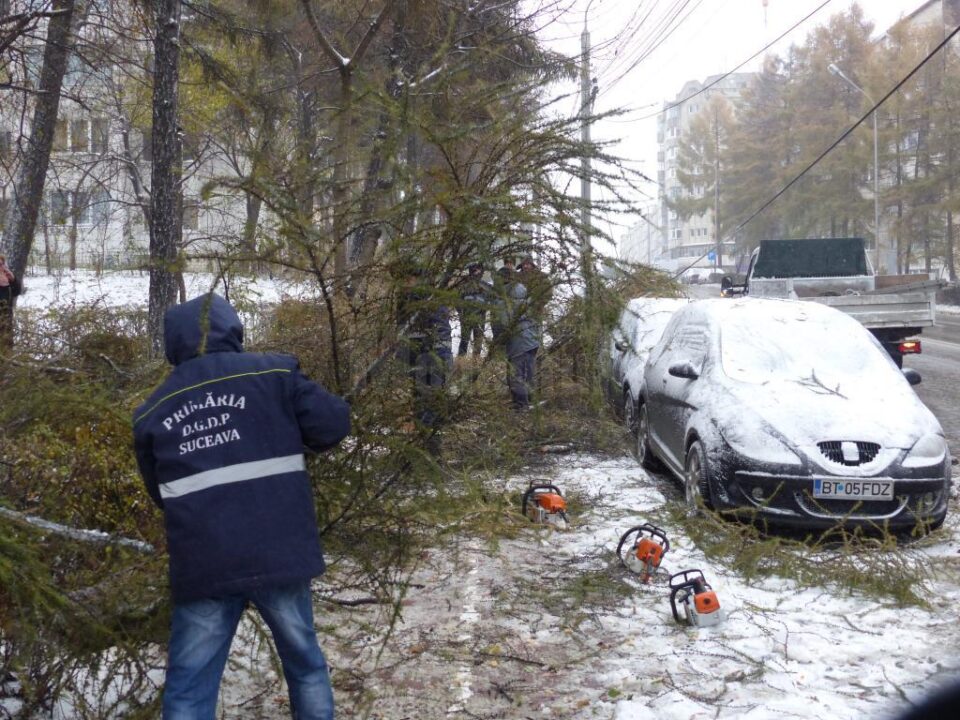 Intervenții pe bdul George Enescu