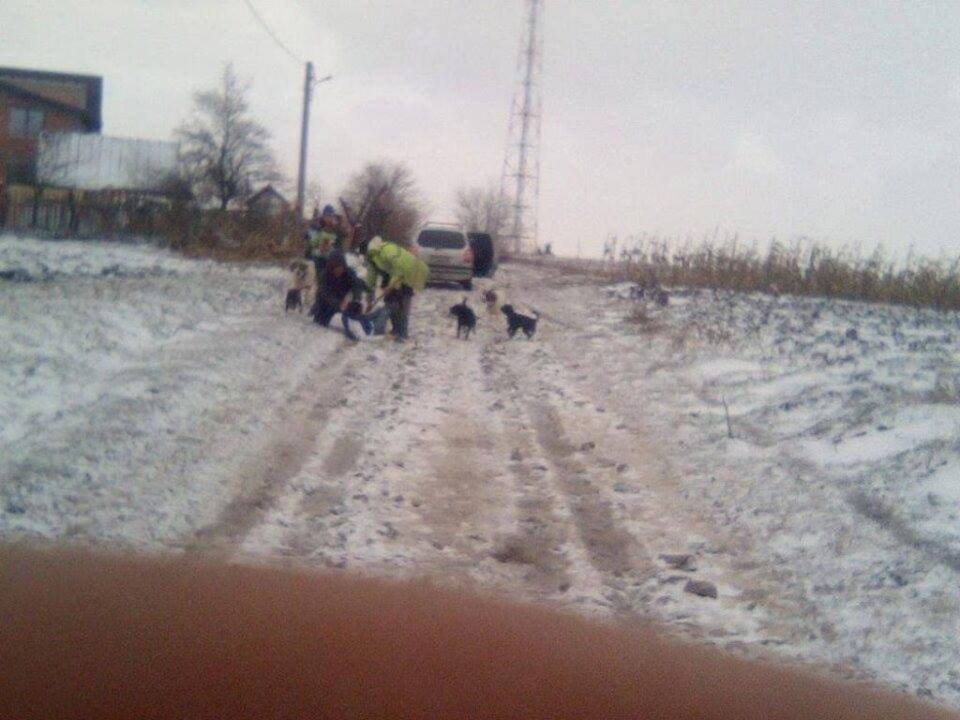 Imagini de la agresiune, surprinse cu un telefon mobil