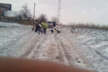 Imagini de la agresiune, surprinse cu un telefon mobil