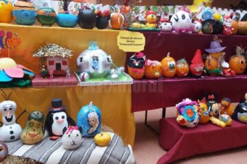 “Frumusețile toamnei”