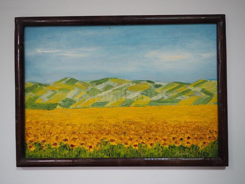 „Floarea soarelui la marginea Sucevei” (53x38), înrămat, autor Ioan Bodnar, preț 100 de dolari „Floarea soarelui la marginea Sucevei” (53x38), înrămat, autor Ioan Bodnar, preț 100 de dolari
