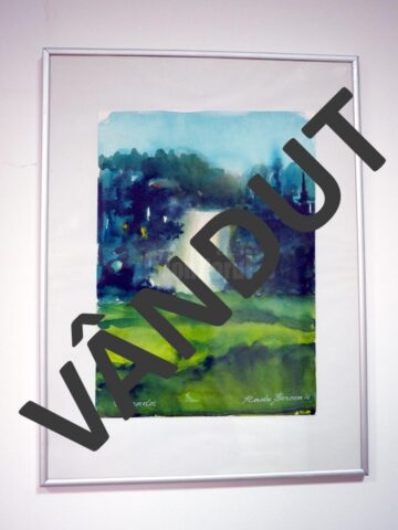 „Cascada” (41x31), înrămat, autor Radu Bercea, preț 50 de dolari