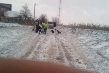 Imagini de la agresiune, surprinse cu un telefon mobil