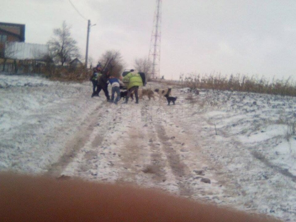Imagini de la agresiune, surprinse cu un telefon mobil
