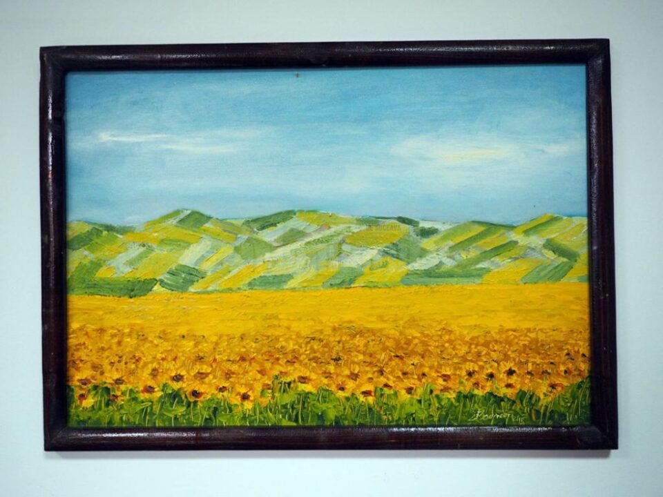 „Floarea soarelui la marginea Sucevei" (53x38), înrămat, autor Ioan Bodnar, preț 100 de dolari