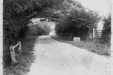 „Drumuri rădăuțene”