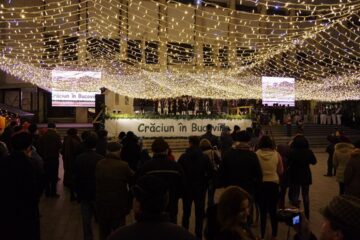 Luminile de sărbătoare s-au aprins în centrul Sucevei